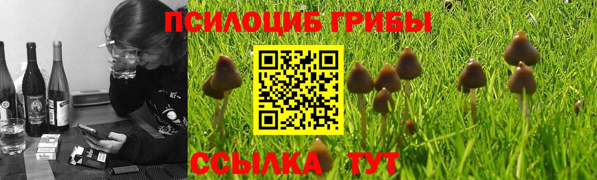 Псилоцибиновые грибы MAGIC MUSHROOMS Орехово-Зуево
